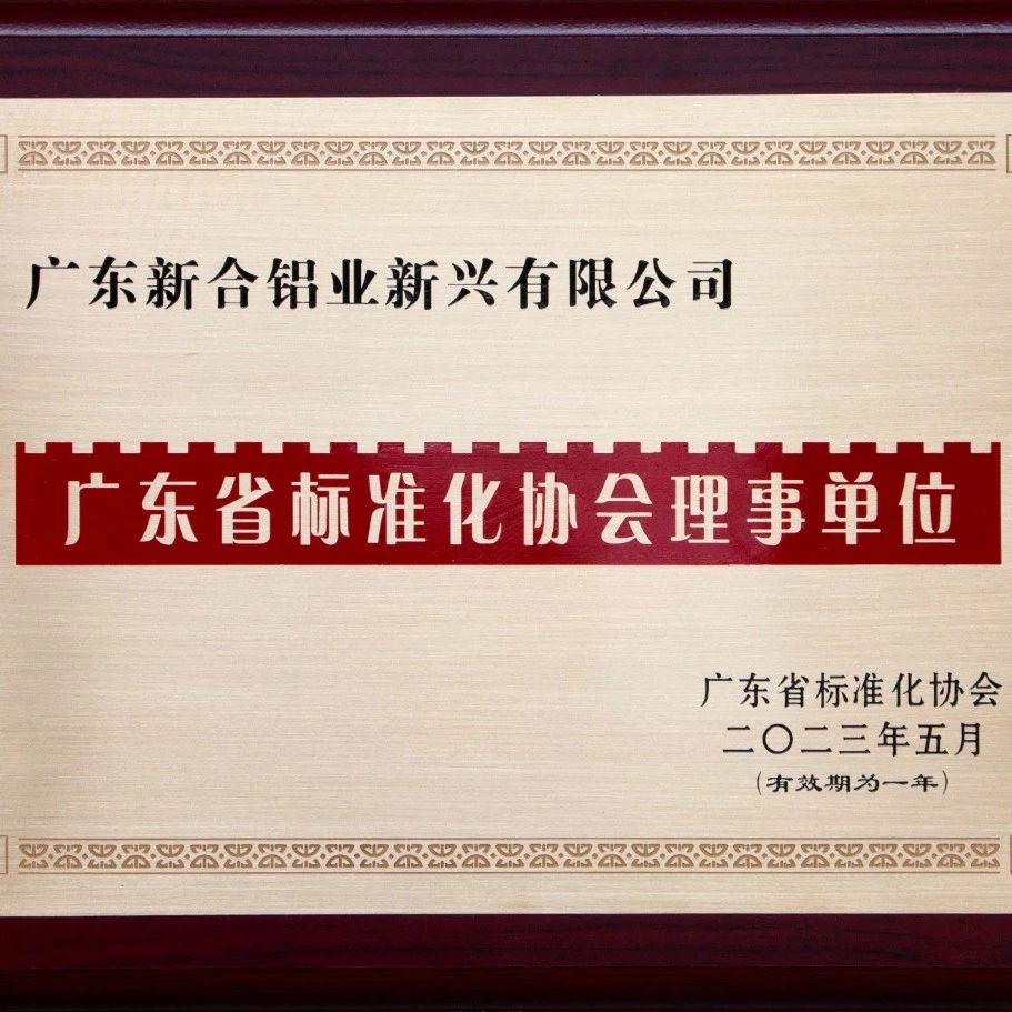 喜報(bào)！新合榮獲廣東省標(biāo)準(zhǔn)化協(xié)會理事單位！
